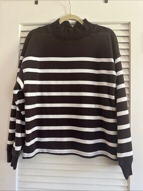Madewell Chocolate Brown and White Striped Mock-Neck Sweatshirt